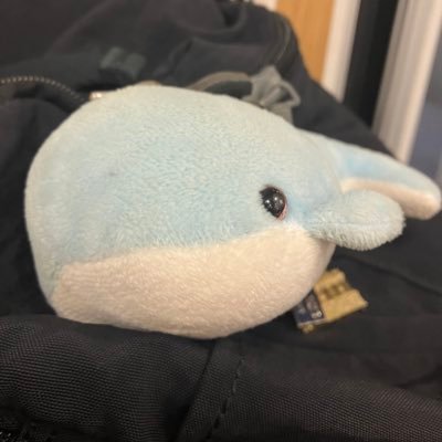 Tadayoshi Kamegai - Academic Profile Picture